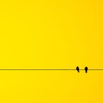 Minimalism in Modern Graphic Design