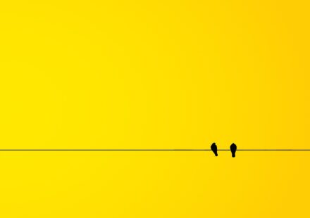 Minimalism in Modern Graphic Design