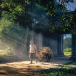 Morning Routines That Boost Your Productivity