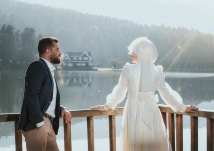 corporate veil concept