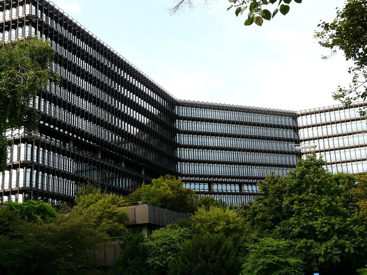 Patent vs. Trade Secret: Which to Choose?