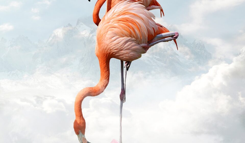subtle manipulation concept